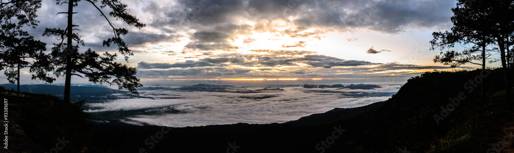 Panoramic view of morning mist with pine tree in Phu Kradueng national park, Loei Thailand.