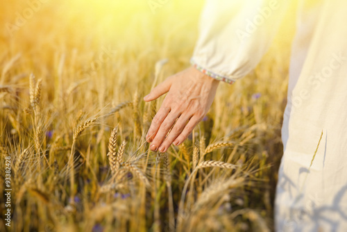 Hand of a female in white ethnic shirt touching barley stems
