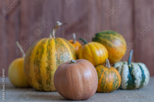 Art autumn Pumpkin thanksgiving background. Set of different
