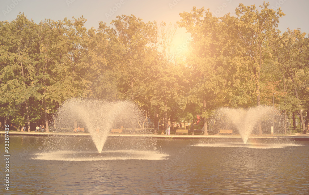 Fototapeta premium Soft photo of park in Debrecen, Hungary