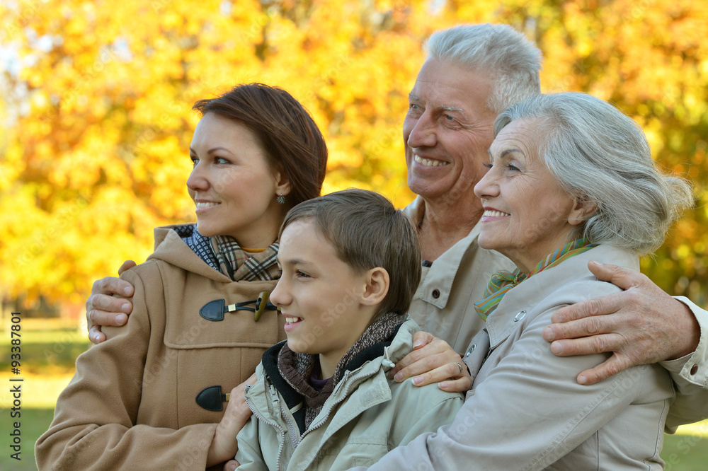 Fototapeta premium smiling family in park