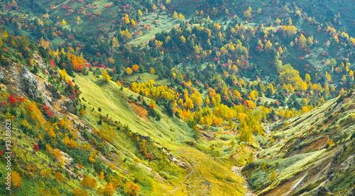 秋の紅葉シーズンの志賀高原渋峠の のぞき Stock Photo Adobe Stock