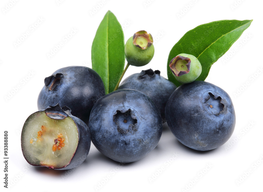 Obraz premium Blueberries