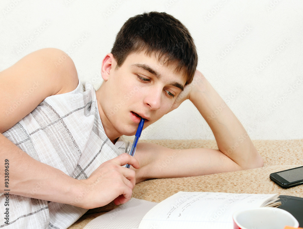 Teenager doing Homework Teenager doing Homework