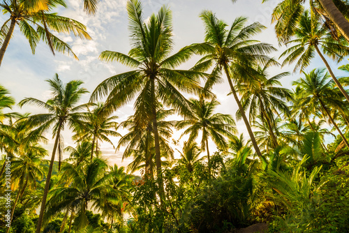 Wallpaper Mural Beautiful beach with coconut palm tree Torontodigital.ca