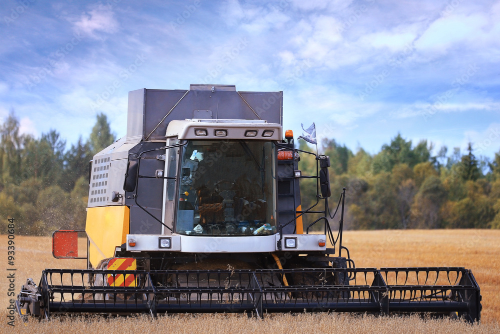 Fototapeta premium tractor in a field to harvest