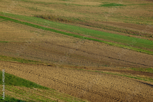 Agricultural field