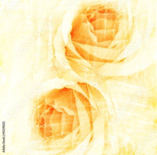 yellow flower watercolor rose