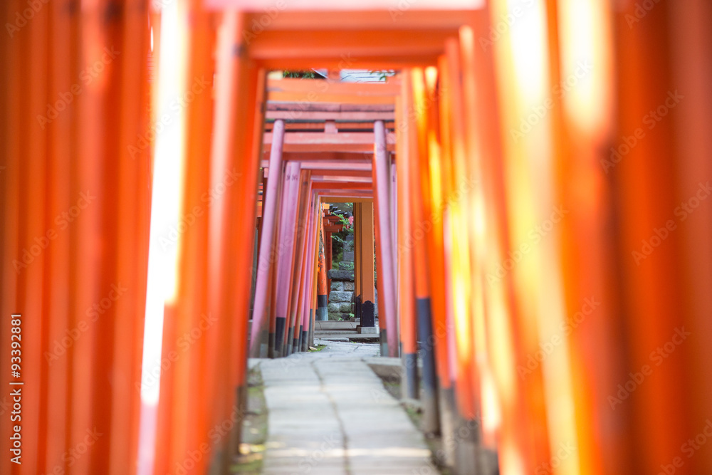 鳥居(とりい) 鳥居(とりい)