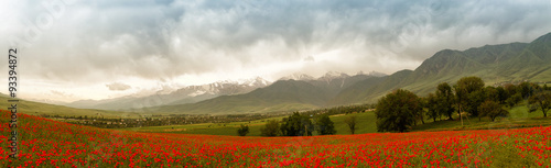 Fotografie Panoramic mountain landscape