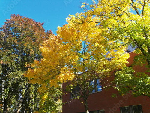 Herbstszene