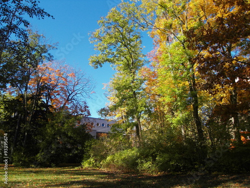 Herbstszene