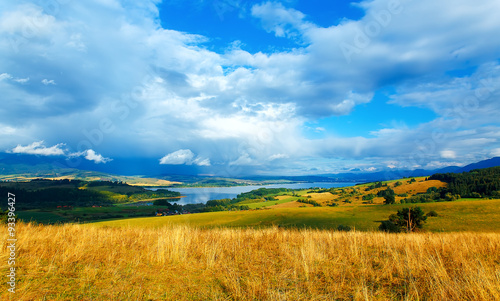 Beautiful landscape, yellow meadow and lake in background