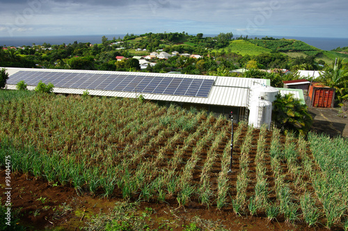 La Réunion - Carosse, panneaux photovoltaïque sur bâtiment d’élevage