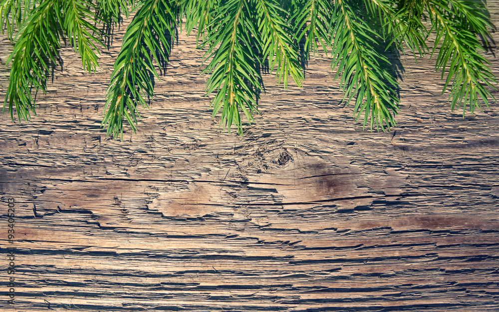 Christmas background with branches of pine needles on the old board Christmas background with branches of pine needles on the old board