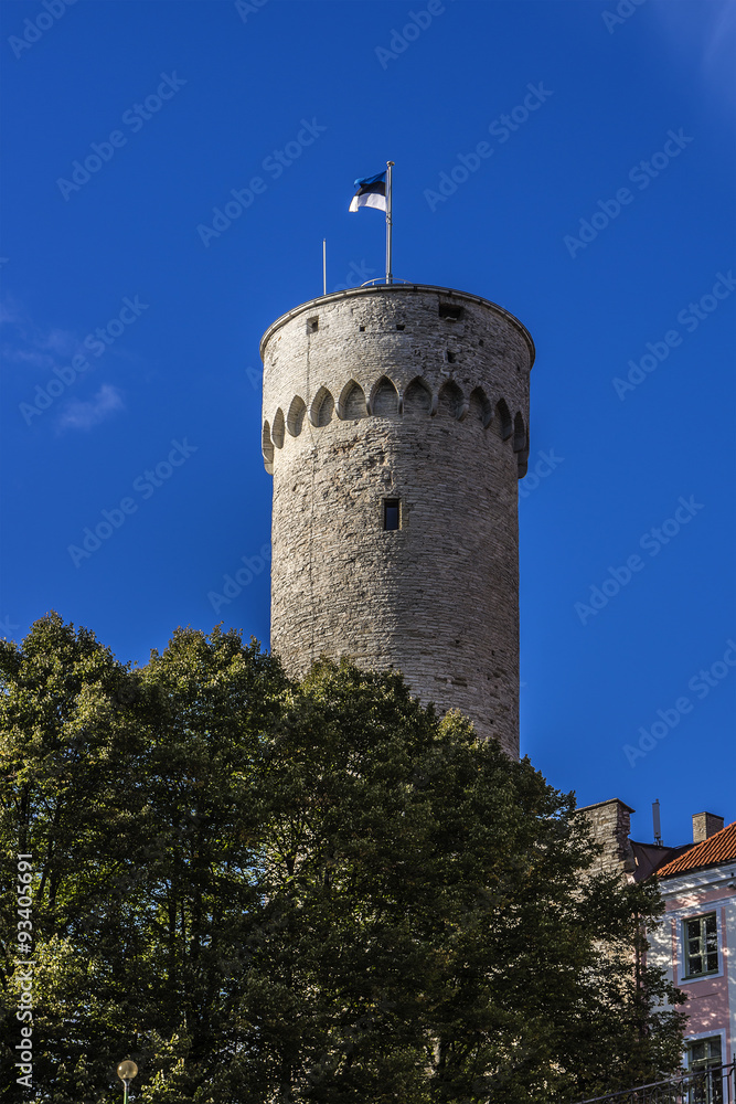 Pikk Hermann (or Tall Hermann) - a tower in Tallinn, Estonia.