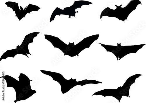 Halloween Bats