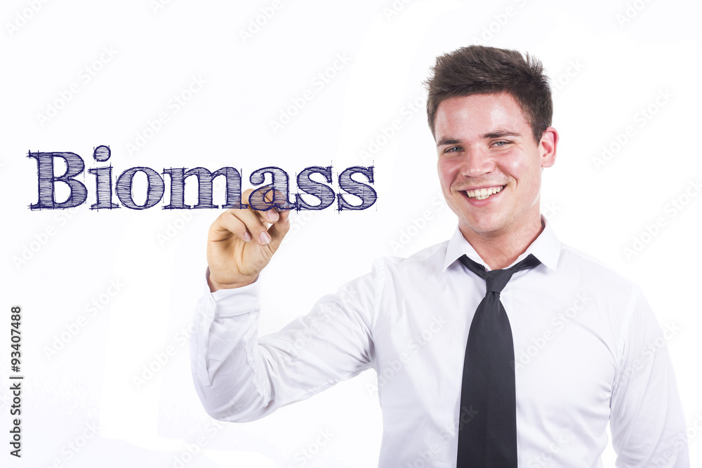 Biomass Biomass