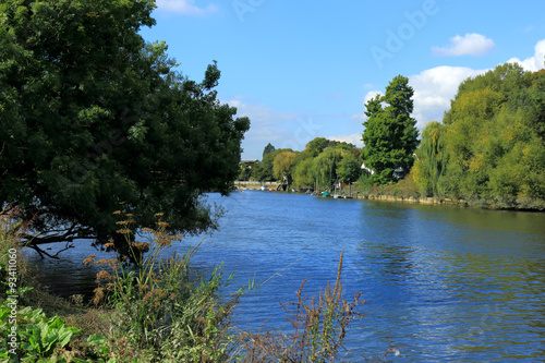 The River Thames near Richmond   A view of the River Thames near Richmond in London