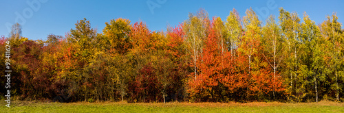 Buntes herbstliches Panorama #93411624