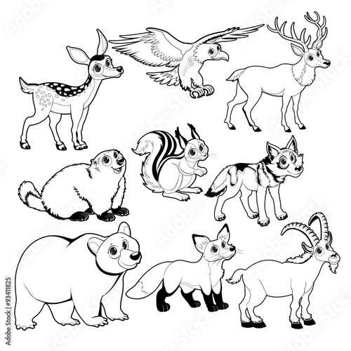 Wood and mountain animals i...