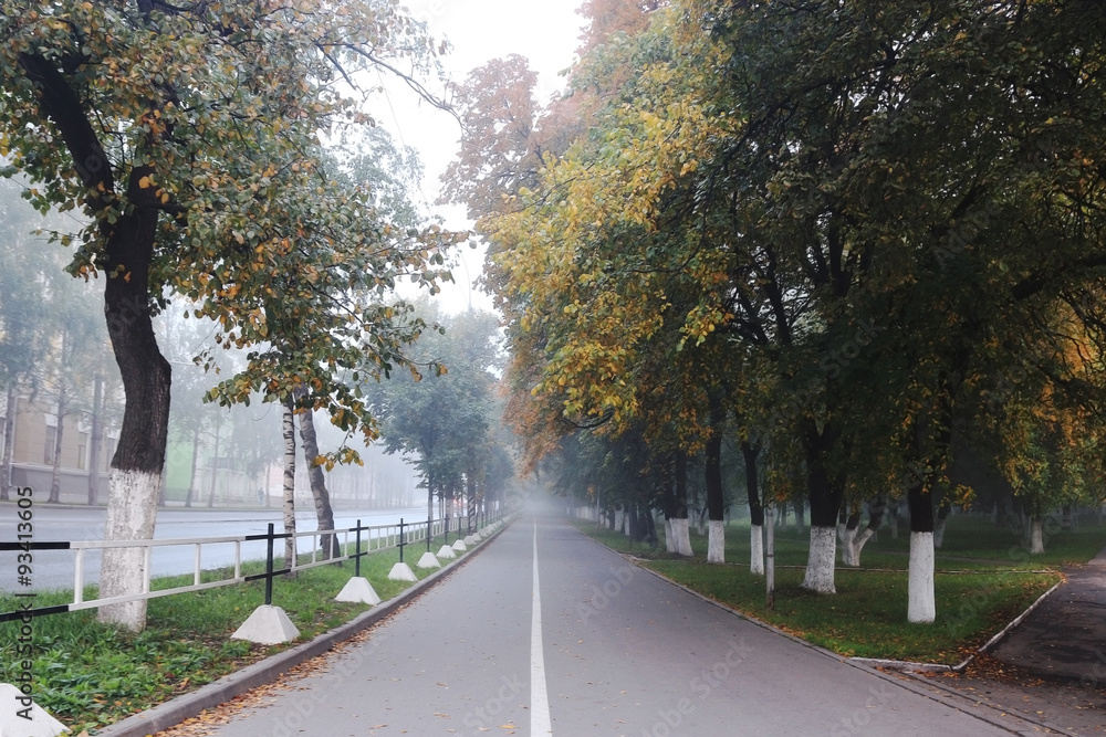 Autumn cityscape foggy alley in the park