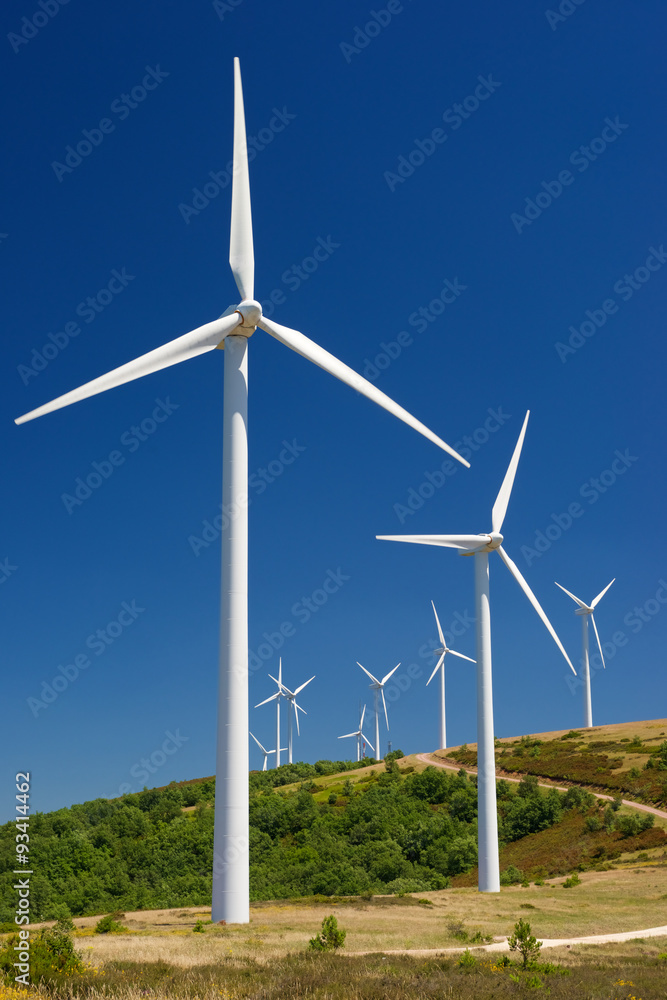 Fototapeta premium Wind energy