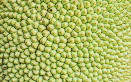 Closeup at surface of jackfruit background