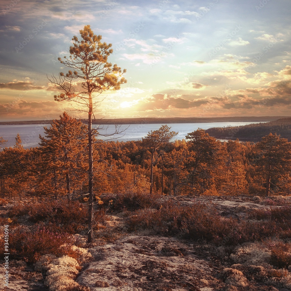 fantastic summer sunset - landscape in the north of the mountain forest lake fantastic summer sunset - landscape in the north of the mountain forest lake
