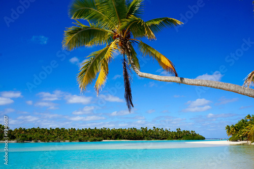 Einsame Palme über türkisem Meer photo
