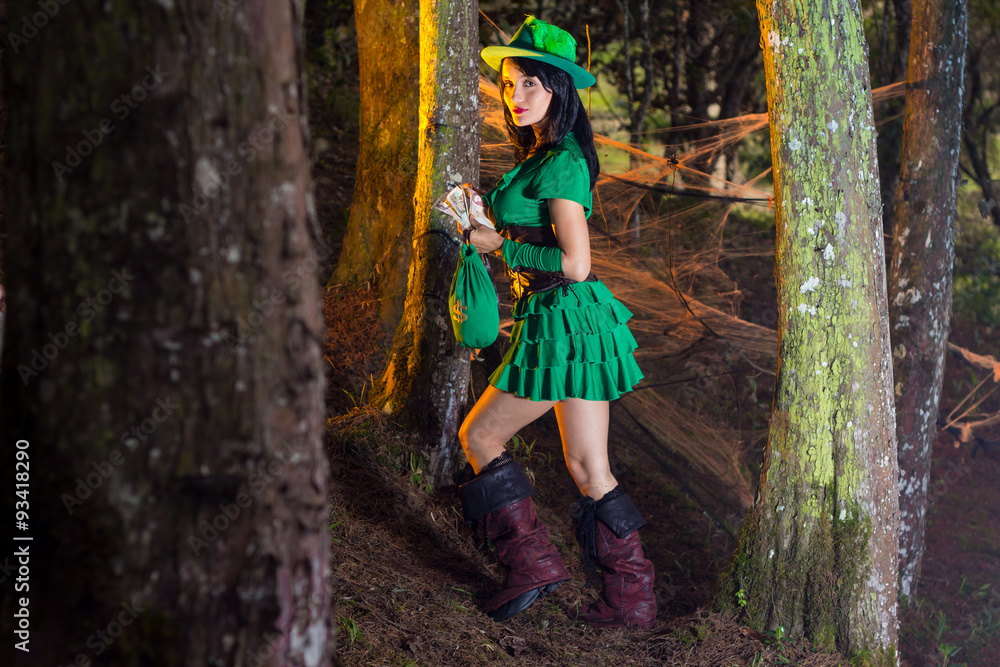 robin hood robin hood