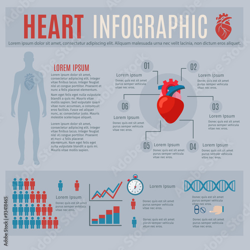 Human Heart Infographics