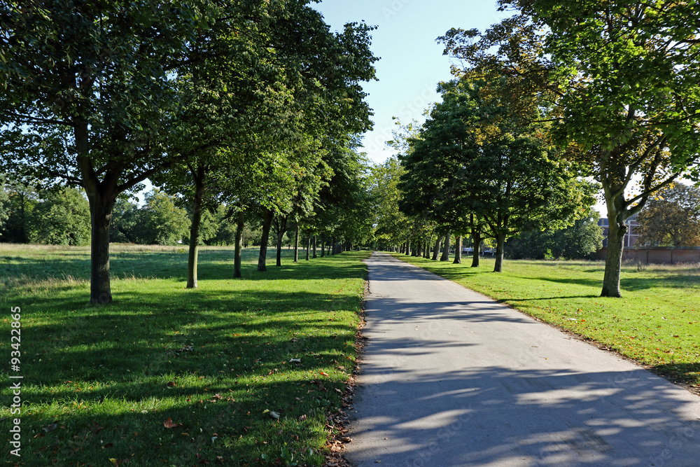 Fototapeta premium Footpath to Ham / A view of the countryside and trees near to Richmond in London
