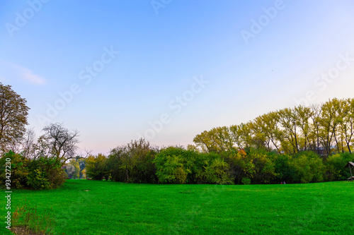Colorful Trees and Bushes on Green Field