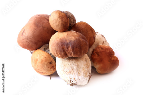 Forest mushrooms edible fresh isolated on white background selective soft focus
