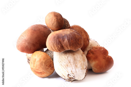 Forest mushrooms edible fresh isolated on white background selective soft focus