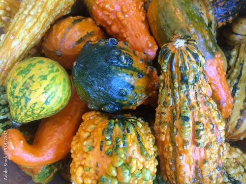 Decorative gourds, Jacksonville Beach, Florida, USA. 