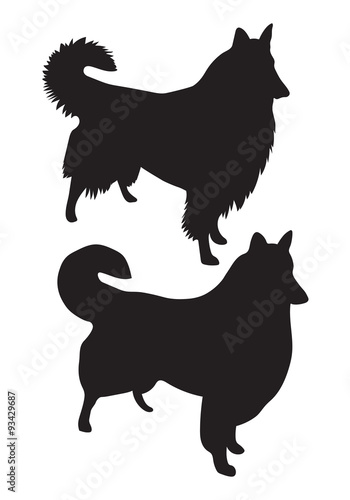 black vector silhouettes of Collie Rough dogs