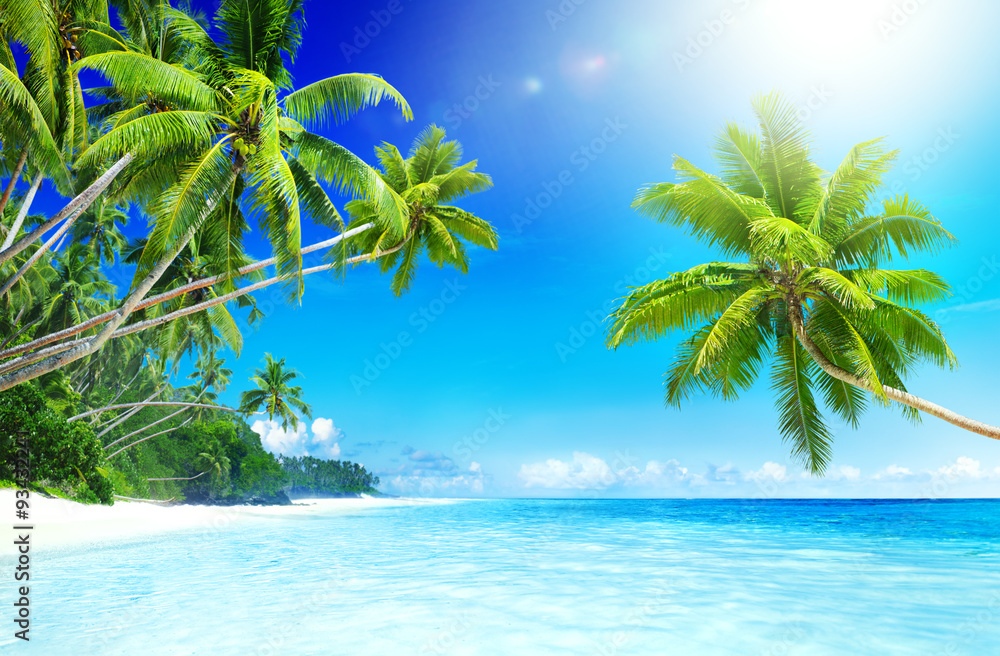 Tropical Paradise Beach Seascape Travel Destination Concept - obrazy, fototapety, plakaty 