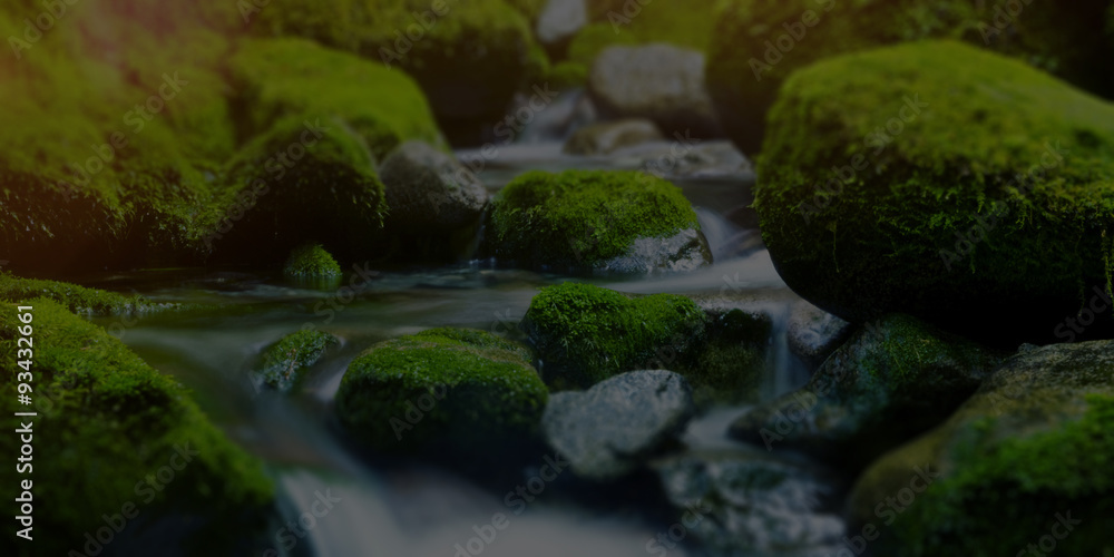 Cascading Waterfall Fresh Nature Green Environment Concept Cascading Waterfall Fresh Nature Green Environment Concept