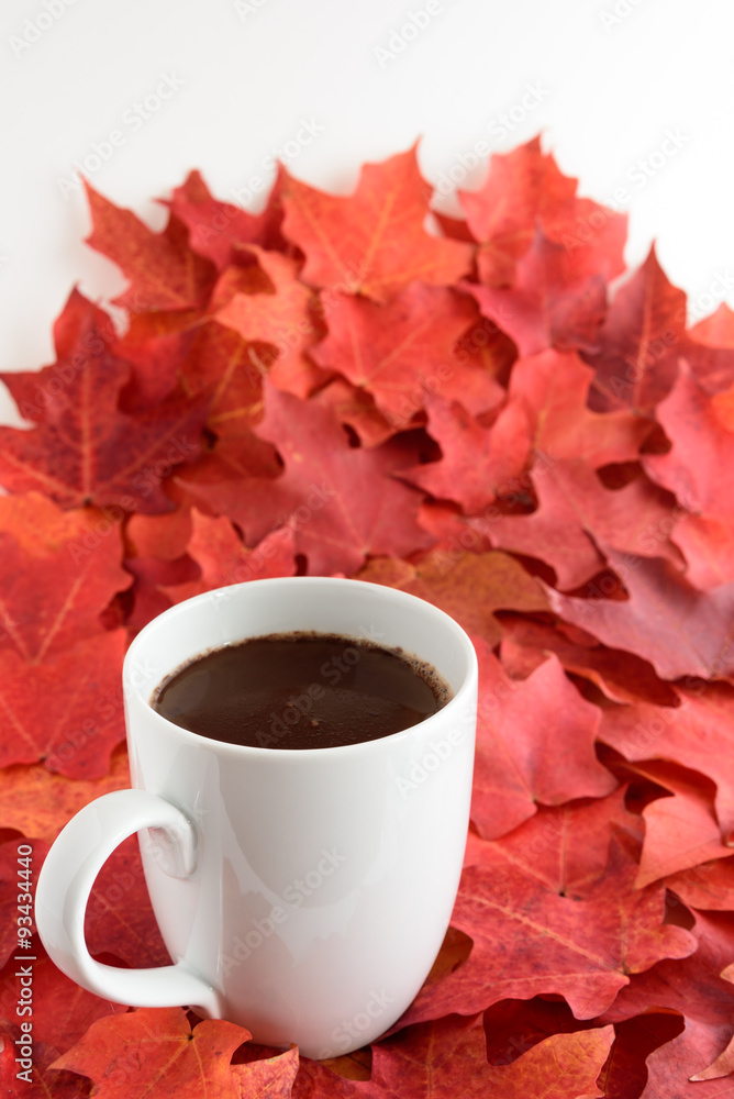 Fall color, white cup of hot chocolate on a bed of colorful maple leaves
