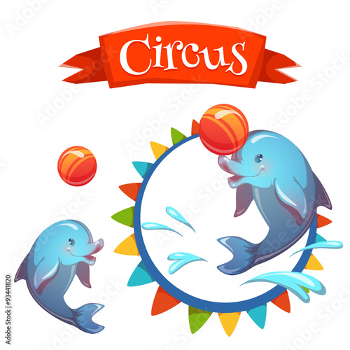 Circus banner with clever dolphin. Vector illustration