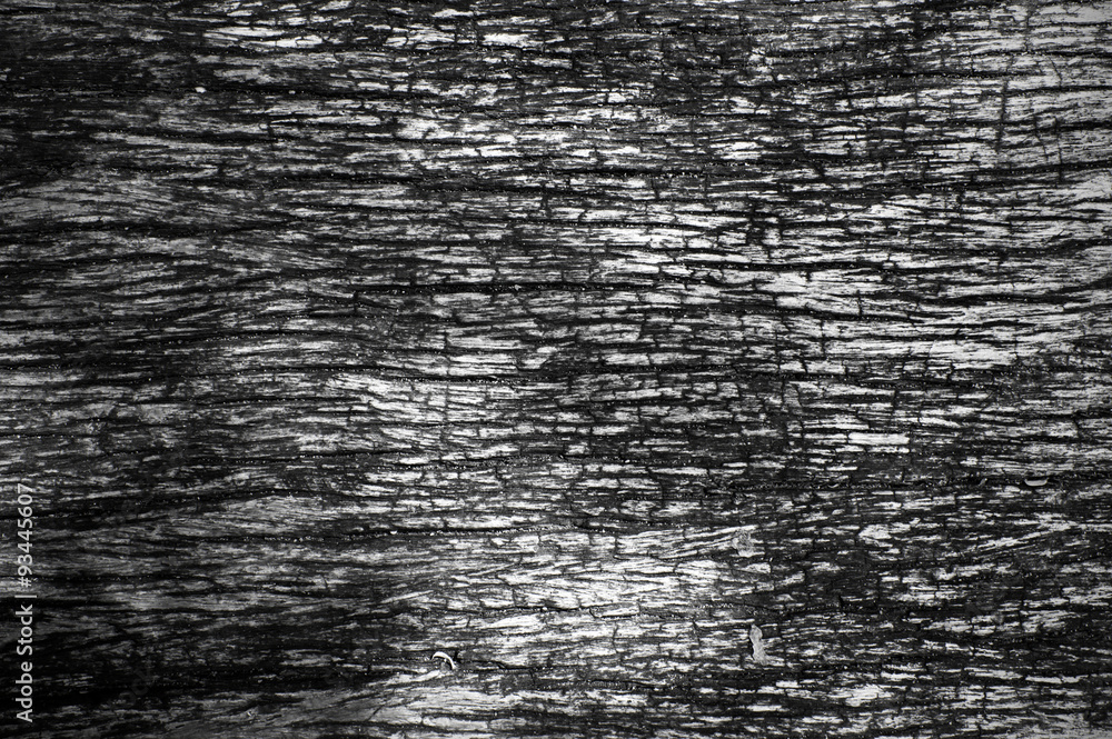 Obraz premium old wooden texture