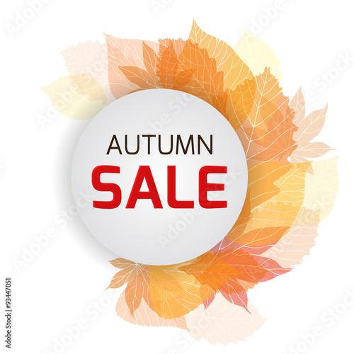 Banner with autumn leaves