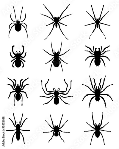 Black silhouettes of different spiders  vector