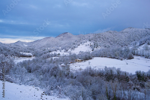 Winter scene