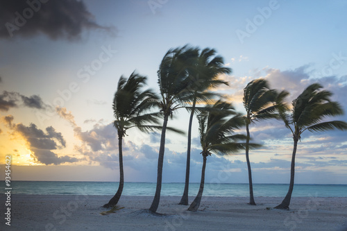 Juanillo Beach, Cap Cana, Punta Cana, Dominican Republic #93454622