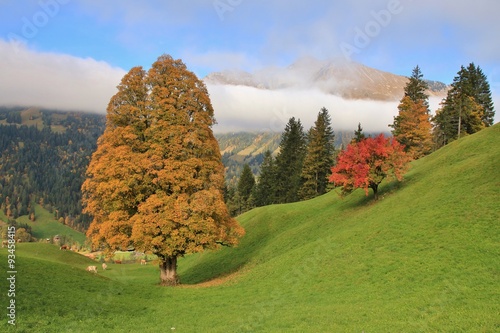 Autumn scene near Gstaad photo