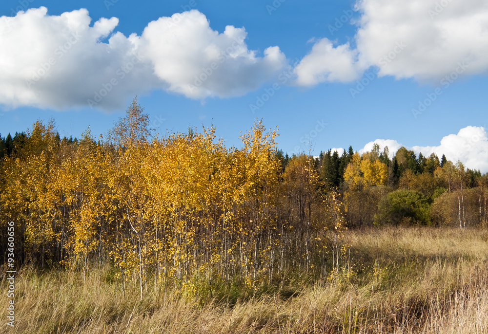 Colorful landscape on warm sunny autumn day.