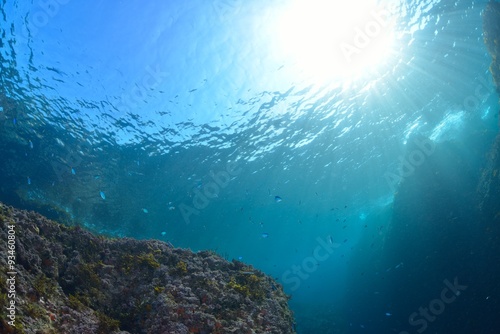 葉山の海